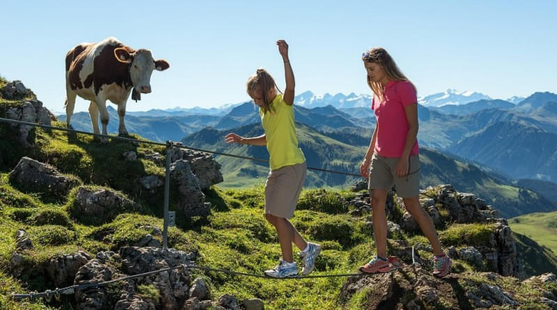 Kitzbueheler-Horn-Kletterpfad-und-Alpenblumengarten