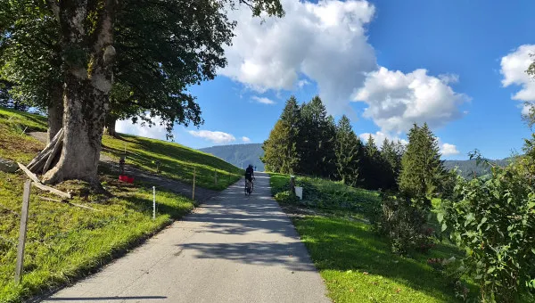 Bichlach Gruttenweg zwischen Oberndorf und Reith
